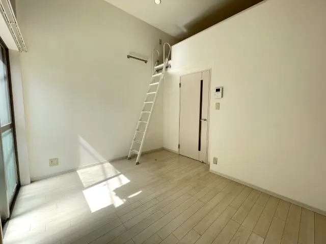 갤러리 사진 12