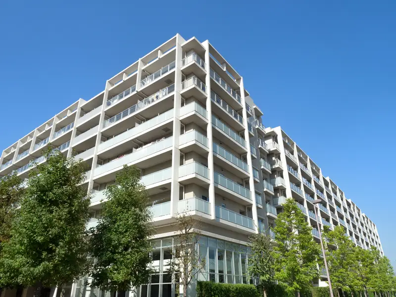 한국어 라인 상담